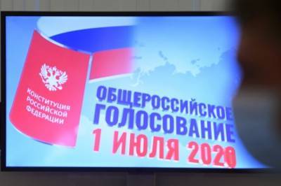 Владимир Климанов - Эксперт: за электронной формой голосования стоит будущее - aif.ru - Москва