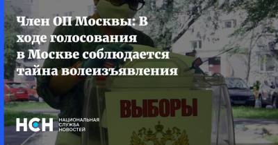 Олег Матвейчев - Член ОП Москвы: В ходе голосования в Москве соблюдается тайна волеизъявления - nsn.fm - Москва