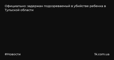 Официально: задержан подозреваемый в убийстве ребенка в Тульской области - 1k.com.ua - Россия - Тульская обл. - район Киреевский