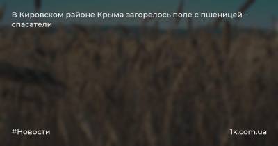 Сергей Шахов - В Кировском районе Крыма загорелось поле с пшеницей – спасатели - 1k.com.ua - Россия - Крым - Севастополь - р-н Кировский