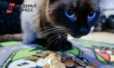 Дмитрий Кобылкин - Дмитрий Кобылкин подчеркнул важность строительства новых приютов для животных - fedpress.ru - Москва