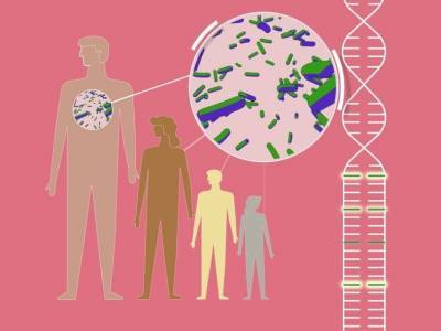 Генетическая аутоиммунная болезнь помогает организму противостоять чуме - polit.ru - США
