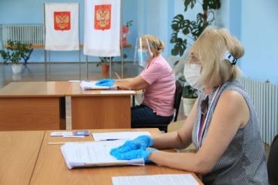 Доктор наук: голосование по поправкам проходит организованно и грамотно - aif.ru - Россия
