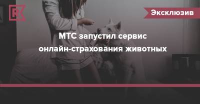 МТС запустил сервис онлайн-страхования животных - rb.ru