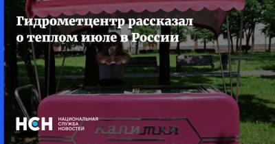 Роман Вильфанд - Гидрометцентр рассказал о теплом июле в России - nsn.fm - Россия
