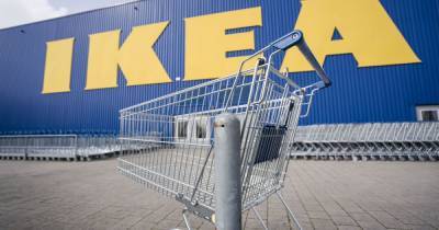 IKEA начала аудит после обвинений в изготовлении мебели из вырубленной в Карпатах древесины - tsn.ua - Украина - Швеция