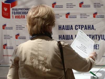 Ольга Смирнова - Накануне флешмоба против поправок в Конституцию задерживают петербургских активистов - rosbalt.ru - Санкт-Петербург