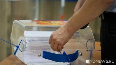 Борис Кагарлицкий - «Настоящий избиратель» будет голосовать 1 июля: расклад по конституционной реформе может резко измениться - newdaynews.ru