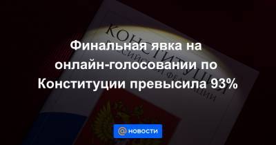 Элла Памфилова - Финальная явка на онлайн-голосовании по Конституции превысила 93% - news.mail.ru - Москва - Нижегородская обл.