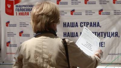 Николай Булаев - В ЦИК заявили об отсутствии реальных жалоб по общероссийскому голосованию - riafan.ru - Москва
