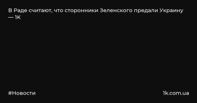 Владимир Зеленский - Вадим Рабинович - В Раде считают, что сторонники Зеленского предали Украину — 1K - 1k.com.ua - Украина