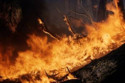 Экстренное предупреждение из-за угрозы лесных пожаров объявлено на Колыме - aif.ru - Магаданская обл.