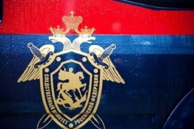 Сиделка и ее сын предстанут перед судом за убийство пожилой екатеринбурженки и разбой - eburg.mk.ru - Екатеринбург - Свердловская обл.