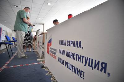 Дмитрий Реут - Мосгоризбирком: Голосование по поправкам к Конституции проходит в штатном режиме - vm.ru - Москва
