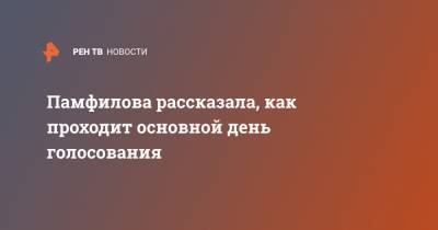 Элла Памфилова - Памфилова рассказала, как проходит основной день голосования - ren.tv - Россия