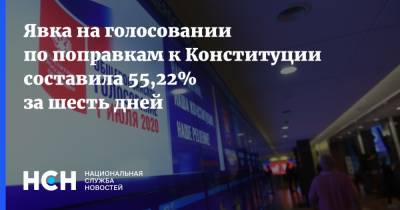 Элла Памфилова - Явка на голосовании по поправкам к Конституции составила 55,22% за шесть дней - nsn.fm - Россия - Конституция