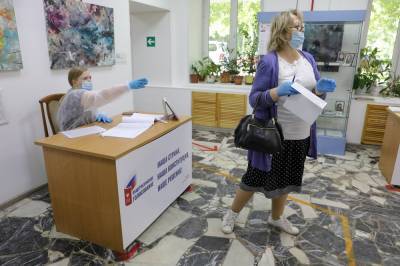 Виктор Литовкин - Эксперт назвал голосование по поправкам к Конституции демократичным и легитимным - tvc.ru - Москва - Нижегородская обл.