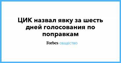 Элла Памфилова - ЦИК назвал явку за шесть дней голосования по поправкам - forbes.ru - Москва - Россия - Нижегородская обл. - Конституция