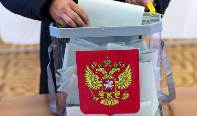 Региональные политологи оценили явку на голосование по Конституции - newizv.ru - Санкт-Петербург - Конституция