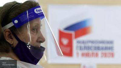 В Новосибирске отметили, что голосование по поправкам в Конституцию идет без нарушений - nation-news.ru - Россия - Новосибирск - Новосибирская обл.
