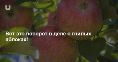 За гнилые яблоки в хозяйстве агрохолдинга Управделами президента ответит и директор. Так решил суд - news.tut.by