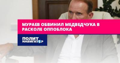 Виктор Медведчук - Евгений Мураев - Мураев плачется, что Медведчук уничтожил Оппоблок - politnavigator.net - Украина