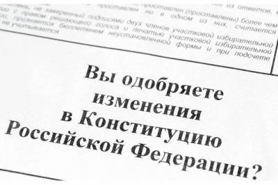 Названы первые результаты голосования по поправкам в Конституцию - aif.ru - Россия - Чукотка
