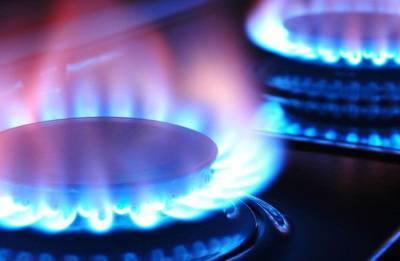 Ольга Буславец - Введение рыночных цен на газ для населения отложили до 1 августа - prm.ua - Украина