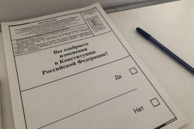 Павел Данилин - Политолог отметил высокую явку на голосование по Конституции в Москве - aif.ru - Москва