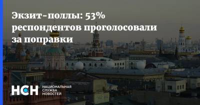 Экзит-поллы: 53% респондентов проголосовали за поправки - nsn.fm - Москва - Россия - Конституция