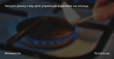 Запуск ринку газу для українців відклали на місяць - 1k.com.ua - Украина - місто Запуск