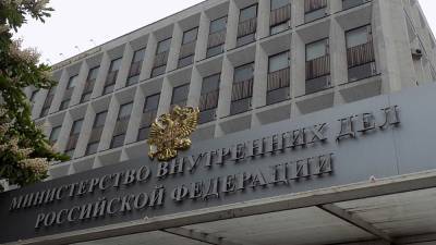 Александр Горовой - МВД не видит поводов для пересмотра итогов голосования по реформе Конституции - newdaynews.ru - Россия