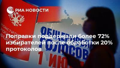 Поправки поддержали более 72% избирателей после обработки 20% протоколов - ria.ru - Москва
