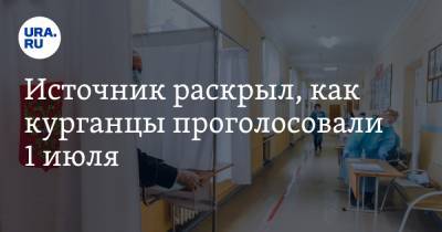 Источник раскрыл, как курганцы проголосовали 1 июля - ura.news - Курганская обл. - Курган - Шадринск