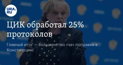 Элла Памфилова - ЦИК обработал 25% протоколов. Главный итог — большинство «за» поправки в Конституцию - ura.news - Россия