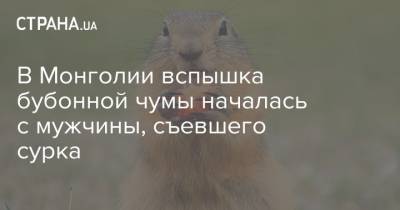 В Монголии вспышка бубонной чумы началась с мужчины, съевшего сурка - strana.ua - Монголия