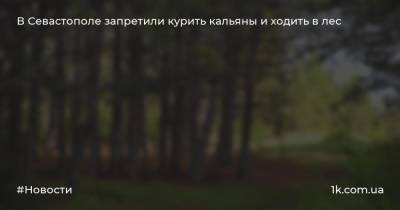 Михаил Развожаев - В Севастополе запретили курить кальяны и ходить в лес - 1k.com.ua - Севастополь