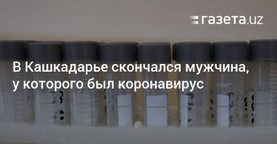 В Кашкадарье скончался мужчина, у которого был коронавирус - gazeta.uz - Узбекистан - Ташкент - Ташкентская обл. - Кашкадарьинская обл.