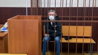 Михаил Ефремов - Эльман Пашаев - Адвокат Ефремова рассказал о буднях артиста под домашним арестом - riafan.ru - Москва