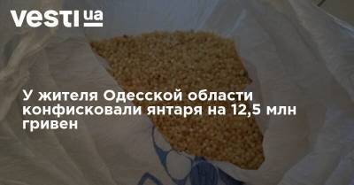 У жителя Одесской области конфисковали янтаря на 12,5 млн гривен - vesti.ua - Украина - Польша - Одесская обл.