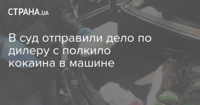В суд отправили дело по дилеру с полкило кокаина в машине - strana.ua - Киев