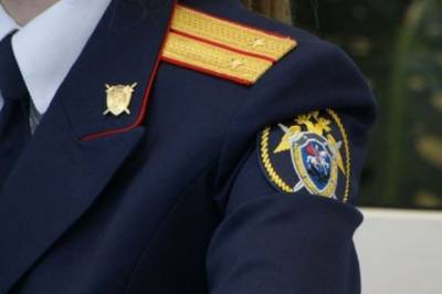 Под Волгоградом задержали подростка, подозреваемого в двойном убийстве - aif.ru - Волгоград - Волгоградская обл.