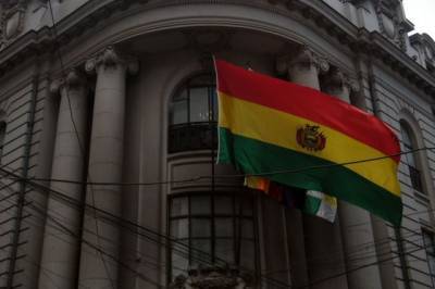 Аньес Жанин - Тест и.о. президента Боливии на коронавирус дал положительный результат - aif.ru - Боливия
