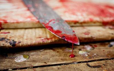 16-летняя жительница Удмуртии напала на свою бабушку с ножом - gorodglazov.com - Россия - респ. Удмуртия - район Можгинский - Нападение