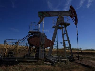 Аналитики считают, что росту нефти до $100 за баррель могут помешать её добытчики - sobesednik.ru - Россия