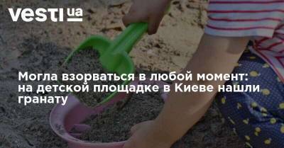 Могла взорваться в любой момент: на детской площадке в Киеве нашли гранату - vesti.ua - Киев - Полтава