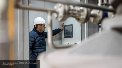Андрей Колганов - Экономист Колганов спрогнозировал динамику цен на нефть к 2021 году - newinform.com
