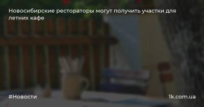 Новосибирские рестораторы могут получить участки для летних кафе - 1k.com.ua - Украина - Новосибирск - Анатолий Локоть