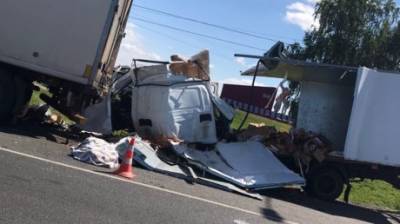 В селе Кижеватово «Газель» въехала в Scania, погиб 22-летний водитель - penzainform.ru - район Бессоновский