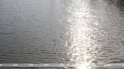 Мужчина утонул в озере в Пуховичском районе - belta.by - Минск - район Пуховичский